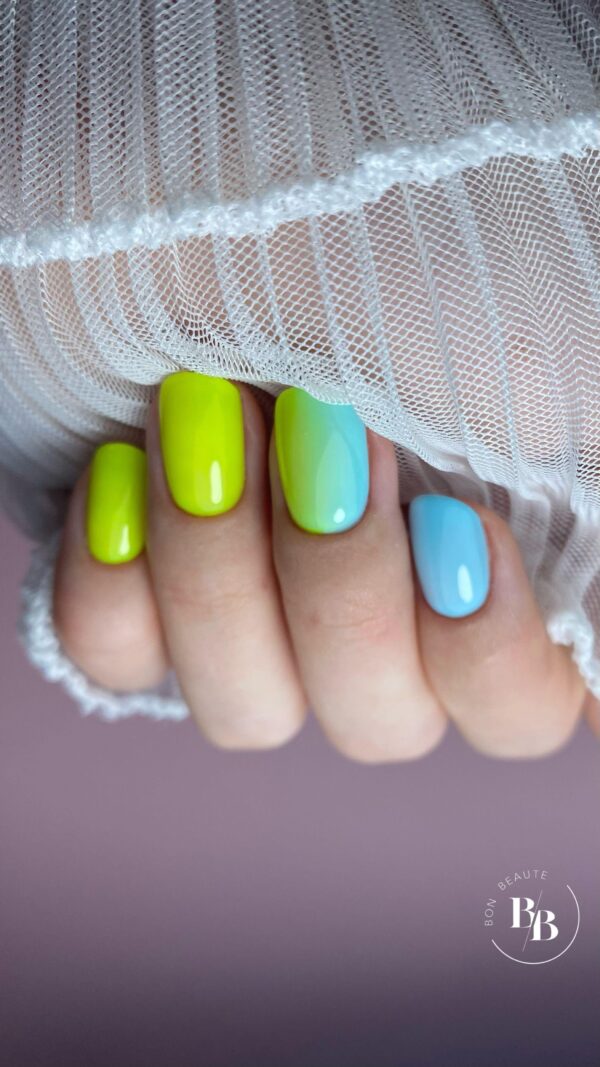 Xolish 11 - Image 4