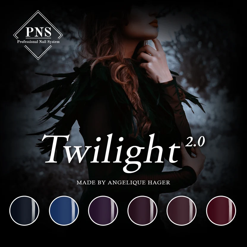 twilight punt flyer